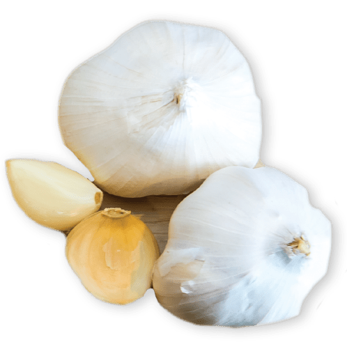 Onion