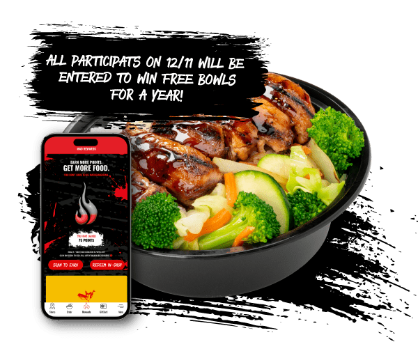 Image of Chicken Teriyaki Bowl to promotion National Chicken Teriyaki Day